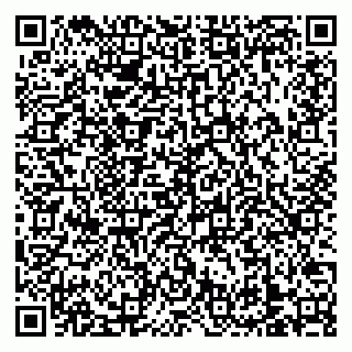 vCard 79138303343