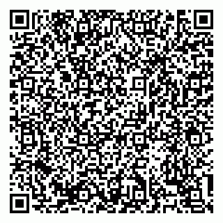 vCard 79138303344