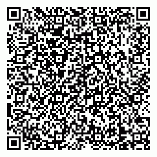 vCard 79138303345