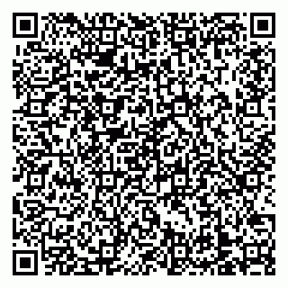 vCard 79138303346