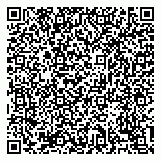 vCard 79138303349