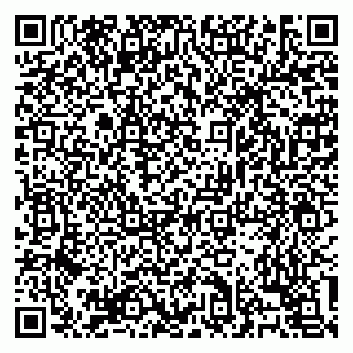 vCard 79138303350