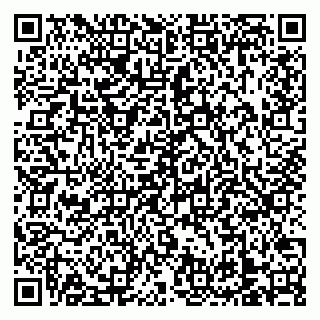 vCard 79138303351