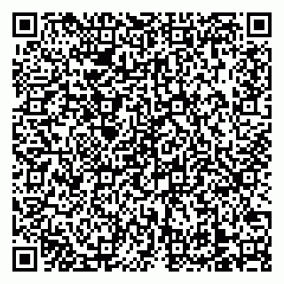 vCard 79138303352