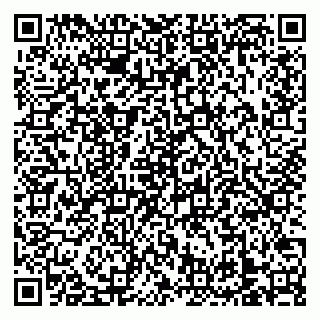 vCard 79138303353