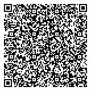 vCard 79138303354
