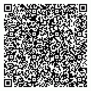 vCard 79138303355