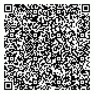 vCard 79138303356