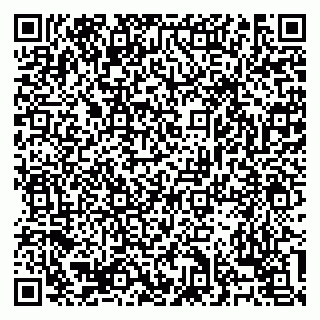vCard 79138303357