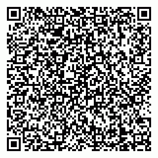 vCard 79138303358
