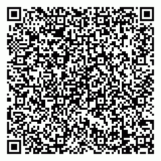 vCard 79138303360
