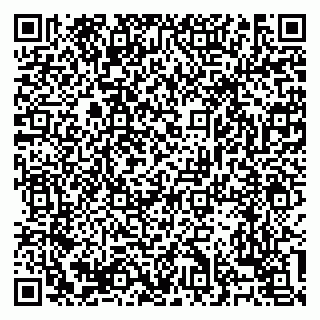 vCard 79138303361