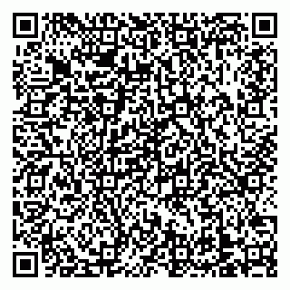 vCard 79138303365