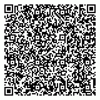 vCard 79138303366