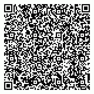 vCard 79138303367