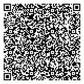 vCard 79138303369