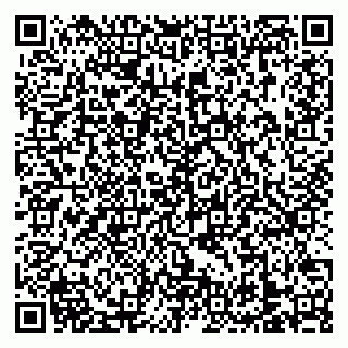 vCard 79138303370