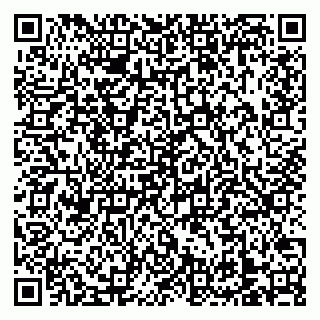 vCard 79138303371