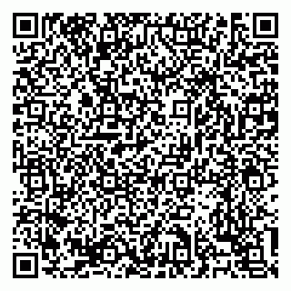 vCard 79138303372