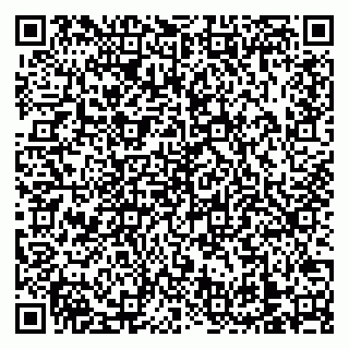 vCard 79138303373