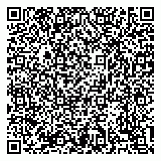 vCard 79138303374