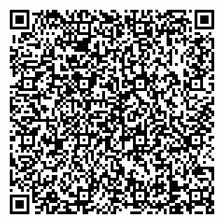 vCard 79138303375