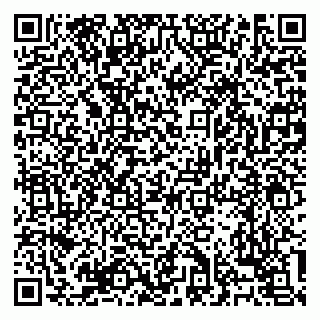 vCard 79138303376