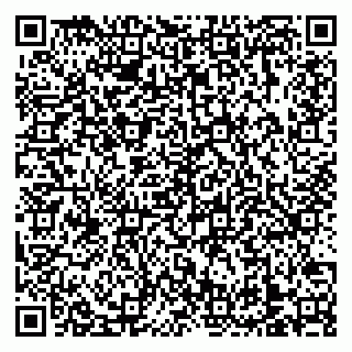 vCard 79138303378