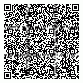 vCard 79138303379