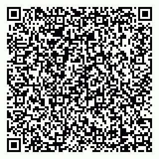 vCard 79138303380