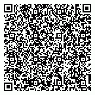 vCard 79138303381