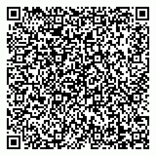 vCard 79138303382
