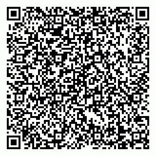 vCard 79138303383