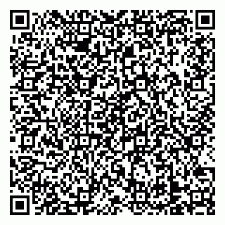 vCard 79138303384