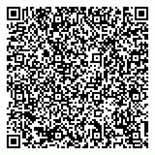 vCard 79138303385