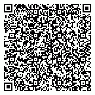 vCard 79138303386