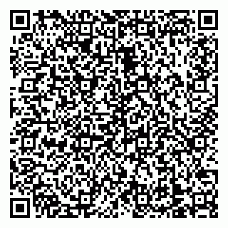 vCard 79138303387