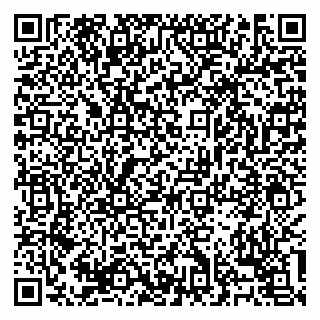 vCard 79138303388
