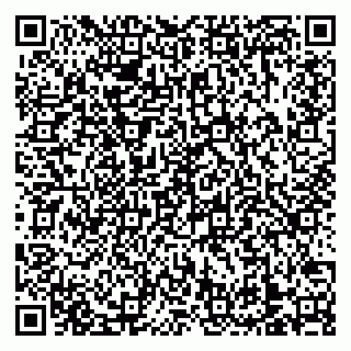 vCard 79138303389