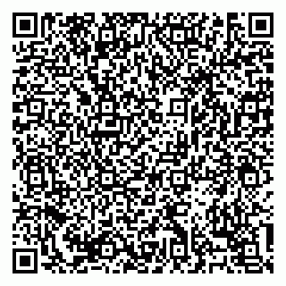 vCard 79138303391