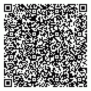 vCard 79138303392