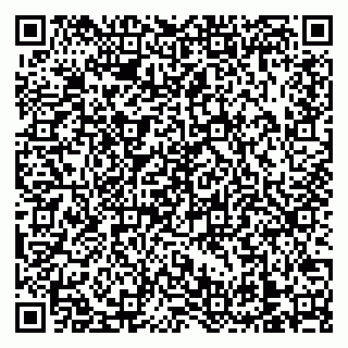 vCard 79138303393