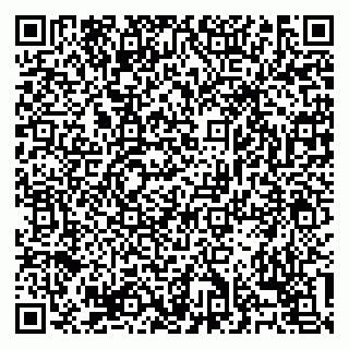 vCard 79138303394
