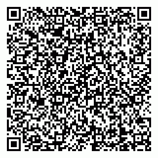 vCard 79138303395