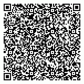 vCard 79138303396