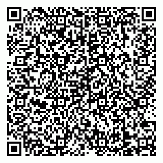 vCard 79138303398