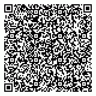 vCard 79138303399