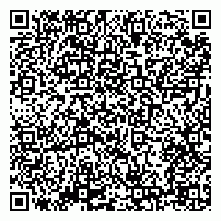 vCard 79138303400