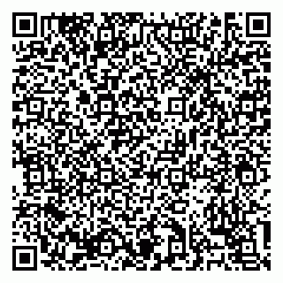 vCard 79138303401