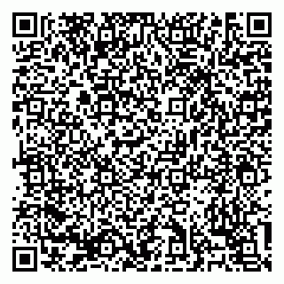 vCard 79138303402